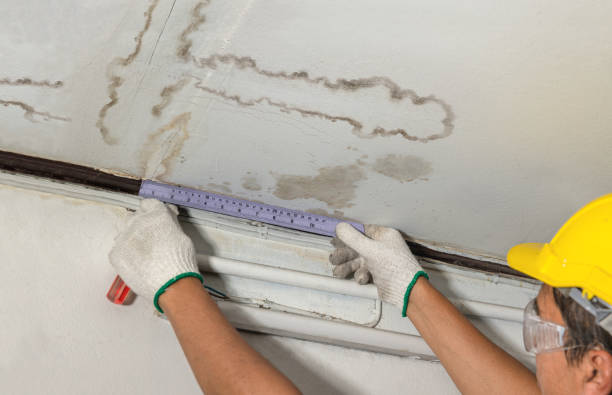 Reliable Water Damage contractor in Dover, NC by Water Damage Irwin
